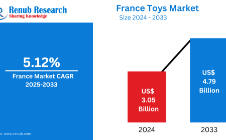 France Toys Market  : Key Drivers, Regional Insights & Forecast to 2033