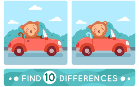 Can You Spot the Difference Between 2D and 3D Animation