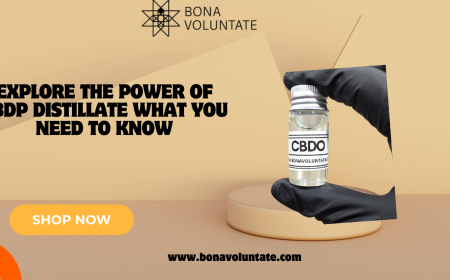 Explore the Power of CBDP Distillate What You Need to Know