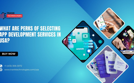 What Are Perks Of Selecting App Development Services In USA?
