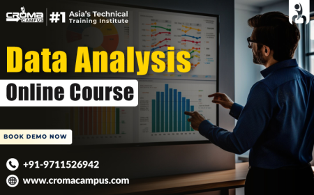 What Will I Learn in the Data Analyst Course?