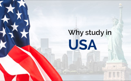Why Is The USA the No. 1 Study Abroad Destination For Students?