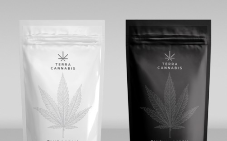 Sustainable Cannabis Packaging Solutions for Modern Dispensaries