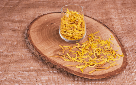 Exploring the Science Behind Cordyceps Mushroom Extract.