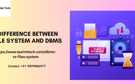The Evolution of Data Storage: From File Systems to DBMS