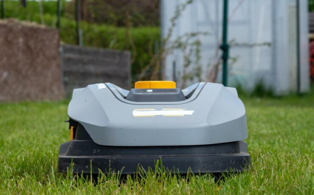 The Future of Lawn Care: Europe's Robotic Lawn Mower Market Growth & Trends