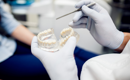 Asia-Pacific Dental Implants Market: Growth, Trends, and Future Outlook (2024-2033)