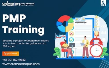 Critical Thinking and Stakeholder Management through PMP Frameworks