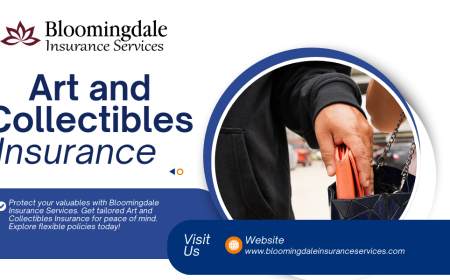 Comprehensive Art and Collectibles Insurance by Bloomingdale Insurance Services