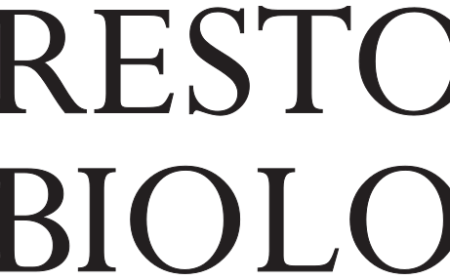 Real Results You Must See Before and After Hair Transplant