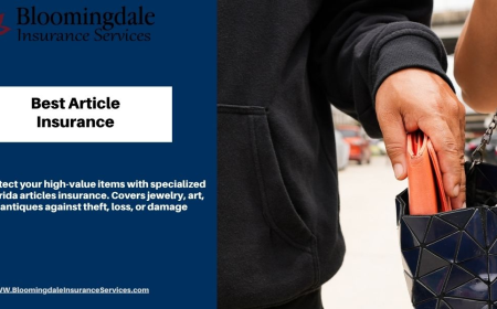 Protect What Matters: Best Article Insurance with Bloomingdale Insurance Services
