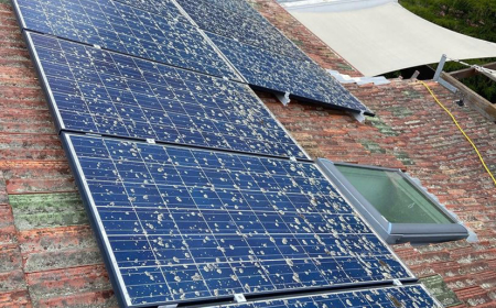 DIY vs. Professional Solar Panel Cleaning in the Eastern Suburbs: Which is Better?
