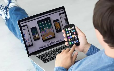 A Beginners Guide to Professional iOS App Development Services for Non Tech Entrepreneurs