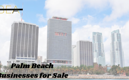 Palm Beach Businesses for Sale: How to Find the Perfect Opportunity or Buyer