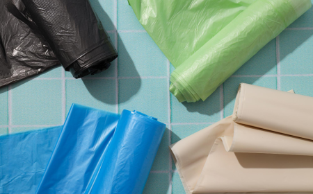 Plastic Films and Sheets Market: Insights & Forecasts You Need to Know