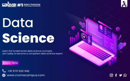 How Do Data Science and AI Work Together?