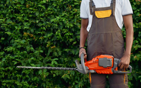 Get Expert Tree Pruning from Local Certified Arborists Near You