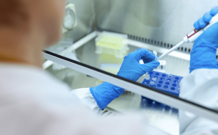 Mold Testing - Vital Info On How To Address A Mold Problem