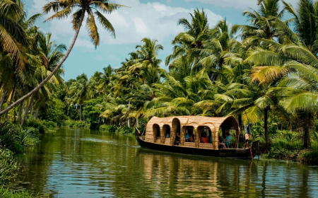 Kerala Tour Packages: Explore Backwaters, Beaches, and Hills in One Trip
