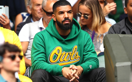 The Iconic OVO Hoodie: A Symbol of Style, Culture, and Exclusivity
