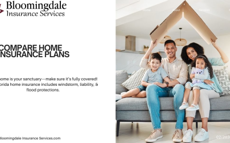 Compare Home Insurance Plans with Bloomingdale Insurance Services – Your Trusted Partner in Valrico, FL