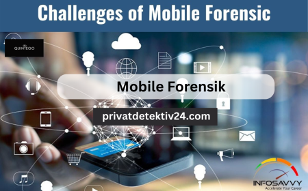 Mobile Forensik: Leitfaden handyforensik, Digitale Forensik Smartphone