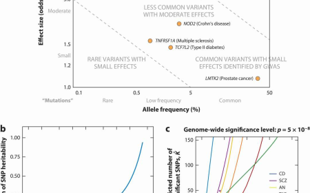 How to Interpret GWAS Data: Application in Agriculture