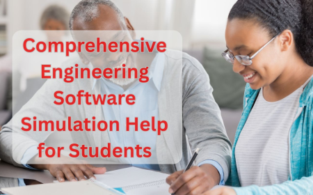 Comprehensive Engineering Software Simulation Help for Students