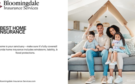 Protect Your Home with the Best Home Insurance in Valrico, Florida | Bloomingdale Insurance Services​