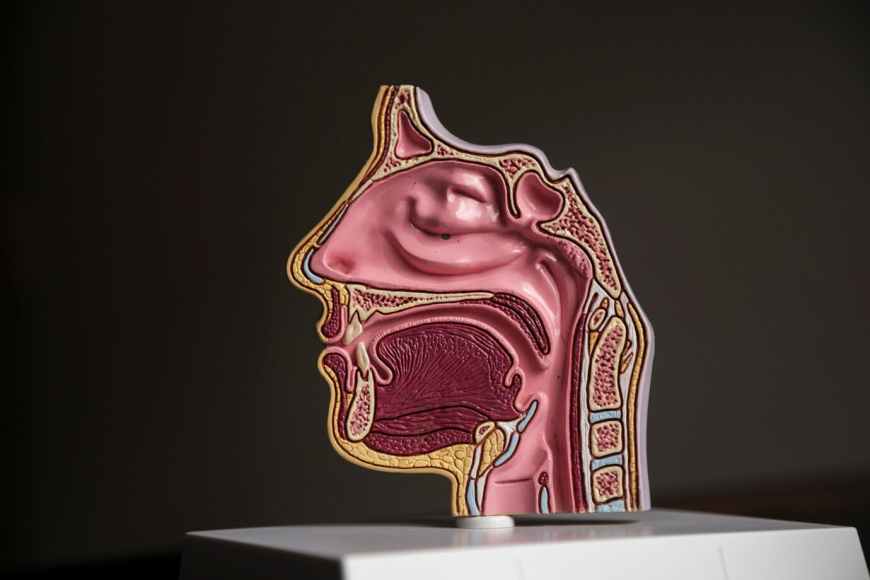 Understanding the Nasopharyngeal Carcinoma Market: Challenges and Opportunities Ahead