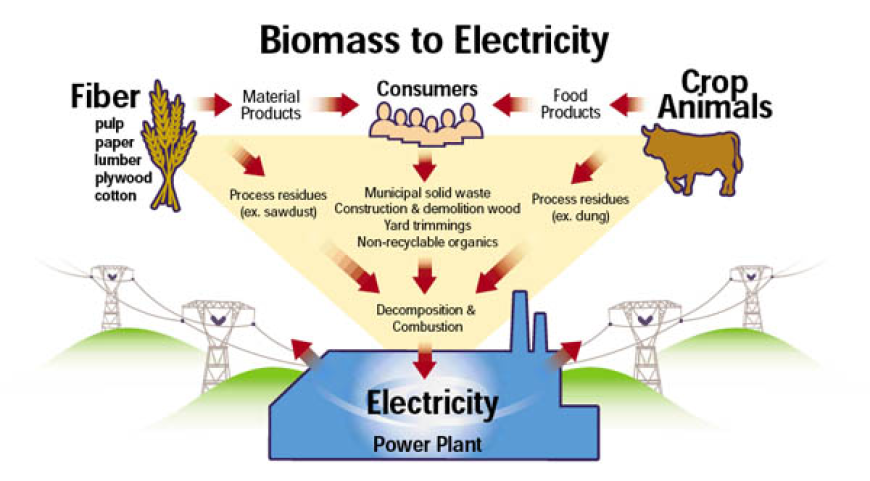 Biomass Electricity Market Challenges, Growth and Opportunities Report 2035