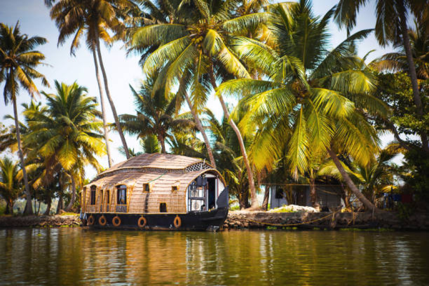 Best Coorg Resort Guide for a Soulful Escape
