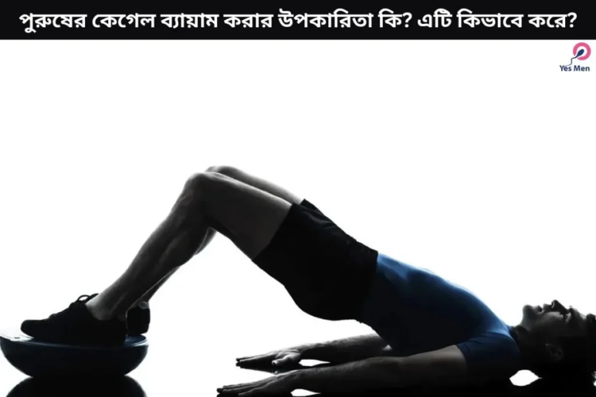 Kegel Exercises: Not Just for Women – A Guy's Guide to Pelvic Power