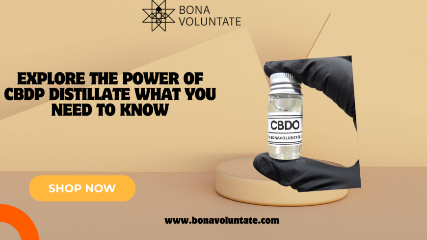 Explore the Power of CBDP Distillate What You Need to Know