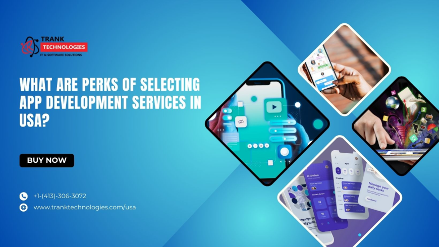 What Are Perks Of Selecting App Development Services In USA?