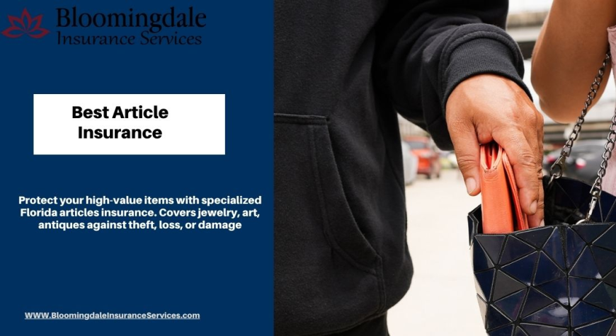 Protect What Matters: Best Article Insurance with Bloomingdale Insurance Services