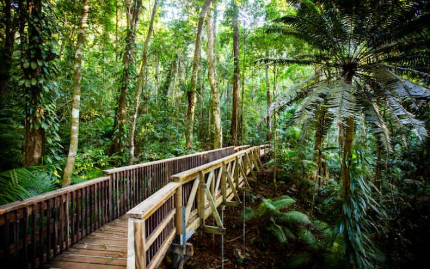 10 Must-Visit National Parks in Australia