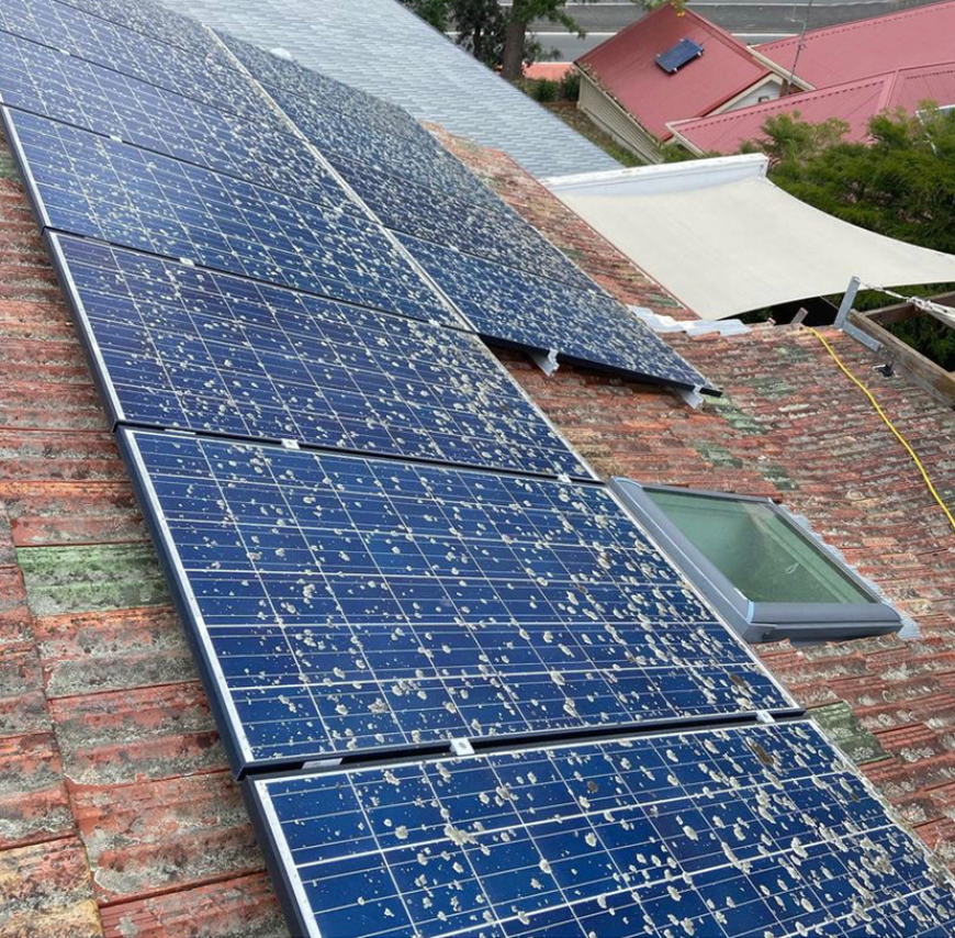 DIY vs. Professional Solar Panel Cleaning in the Eastern Suburbs: Which is Better?