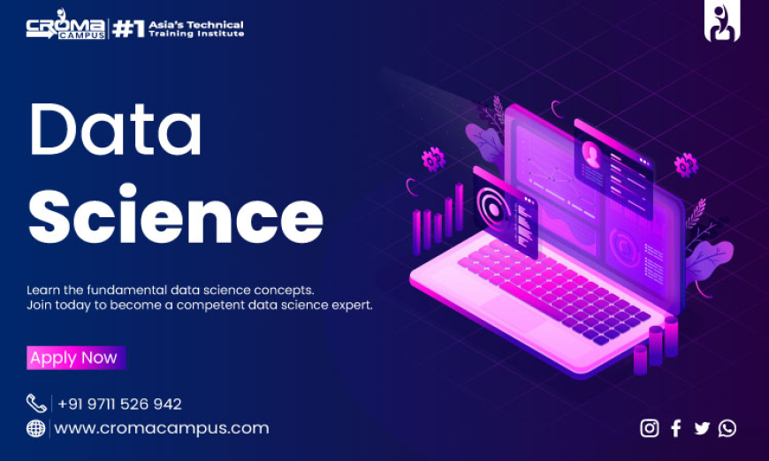 How Do Data Science and AI Work Together?