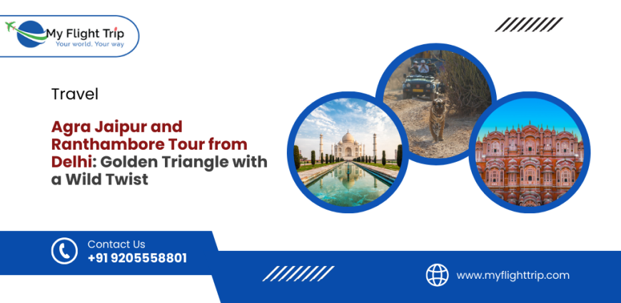 Agra Jaipur and Ranthambore Tour from Delhi: Golden Triangle with a Wild Twist