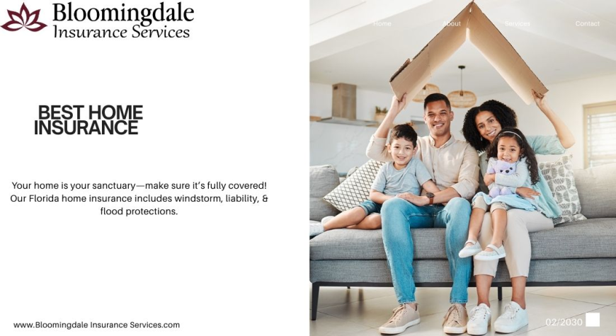 Protect Your Home with the Best Home Insurance in Valrico, Florida | Bloomingdale Insurance Services​