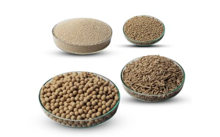 How to Select the Best Molecular Sieves Suppliers in 2025