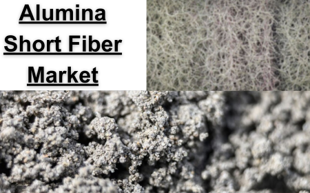 Alumina Short Fiber Market Analysis by Region, Size, and Growth 2032