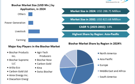 Biochar Market Report Provide Recent Trends, Opportunity, Forecast 2025-2032