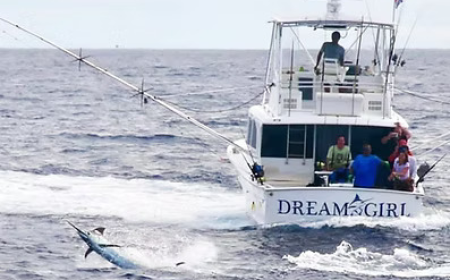 Best Time and Places for Rooster Fishing in Costa Rica