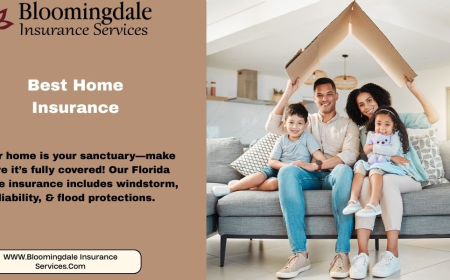 Secure Your Home with Bloomingdale Insurance Services: Best Home Insurance in Valrico, Florida