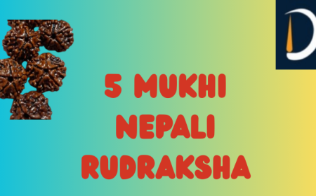 Unlocking the Power of the 5 Mukhi Nepali Rudraksha – Nature’s Spiritual and Healing Gem