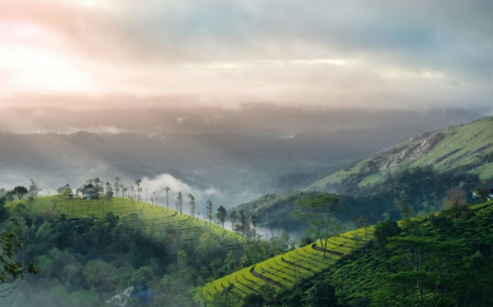 6 Hill Stations in Kerala That Are Perfect for a Quiet Escape