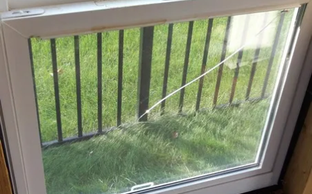 Double Pane Window Glass Replacement: Expert Guide