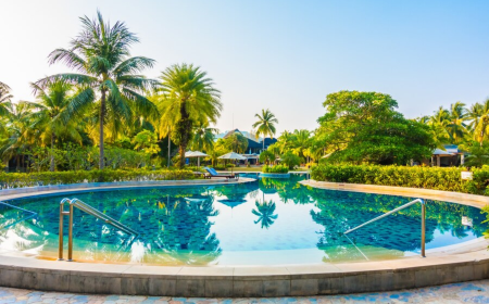 What Are the Most Popular Pool Designs in Houston Homes?
